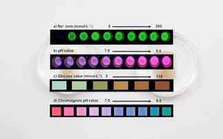 媽媽問(wèn)我為什么紋身,當(dāng)然是 為了健康 啊